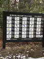 西湖 野鳥の森公園の写真_488780