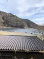 他手合浜の写真_488782