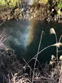 音止めの滝の写真_488806