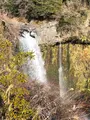 音止めの滝の写真_488808