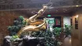 ザ グランド ホテル (圓山大飯店)の写真_489121