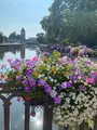 プティット フランスの写真_489193