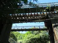 十分瀑布（Shifen Waterfall）の写真_489412