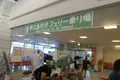 本部港フェリーターミナルの写真_489499