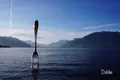 The Fork - Alimentariumの写真_489542