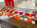 石浦神社の写真_489585