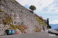 Lavaux Vinoramaの写真_489628