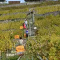 Chexbres Villageの写真_489694