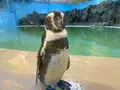 新屋島水族館の写真_489731