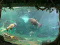 新屋島水族館の写真_489732