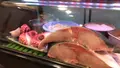 野焼の写真_489892