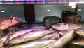 野焼の写真_489893