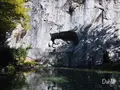 ライオン記念碑（Dying lion statue）の写真_490146