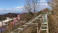ブラジリアンパーク　鷲羽山ハイランドの写真_490801