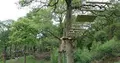 Premier Inn Stoke/Trentham Gardens hotelの写真_491175