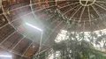 熱帯大ドームの写真_491341