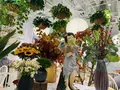 floretchild花囡囡の写真_491436