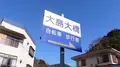 大島大橋の写真_491449