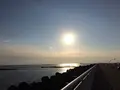 湘南港灯台の写真_492239