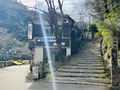 神護寺の写真_492539