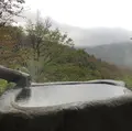 コージーインペンション箱根の山の写真_492734