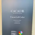 カカオ果の写真_492882