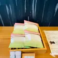 カカオ果の写真_492884