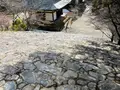 神護寺の写真_493147