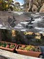 皆吉の写真_493476