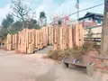 鍋島松濤公園の写真_493594