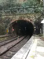 塔ノ沢駅の写真_494397