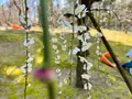 城南宮の写真_494631