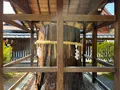 城南宮の写真_494635