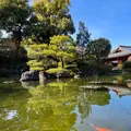 城南宮の写真_494637