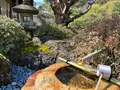 城南宮の写真_494643