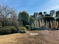 城南宮の写真_494644