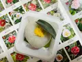 城南宮の写真_494645