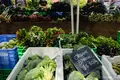 Marrickville Organic Food Marketの写真_495098