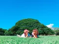 モアナルア・ガーデンズの写真_495340