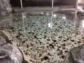湖静荘の写真_500132