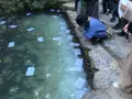 八重垣神社の写真_500158