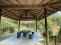 天赦園の写真_500467