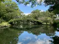 天赦園の写真_500468