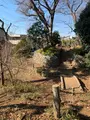 世田谷城址公園の写真_500628