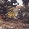 世田谷城址公園の写真_500632