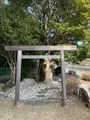 麻吉旅館の写真_500646