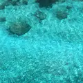 エメラルドバレーの写真_500828