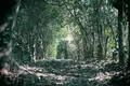 笠山の写真_500902
