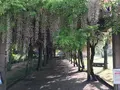 しまなみの駅　御島の写真_500951