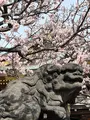 湯島天満宮（湯島天神）の写真_501040